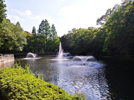 Fountain on the lake in the park of the city of Sochiの写真素材