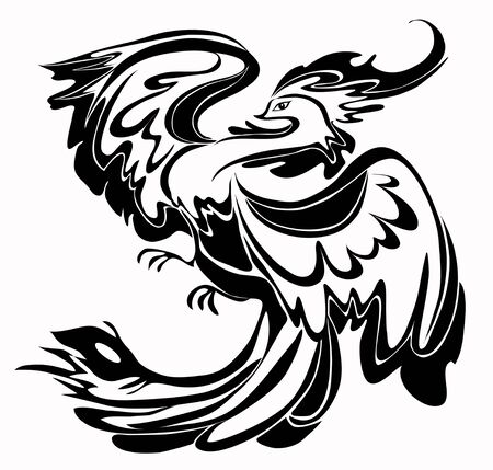 Black and white bird,のイラスト素材