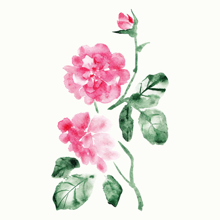 vector rose for design, watercolor roses branchのイラスト素材