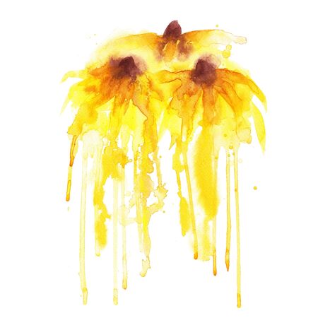 pink flowersの写真素材