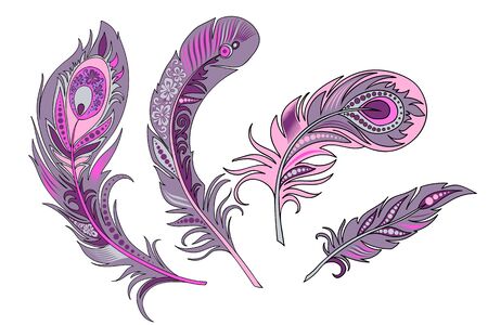 Set of feathers in pastel colorsのイラスト素材