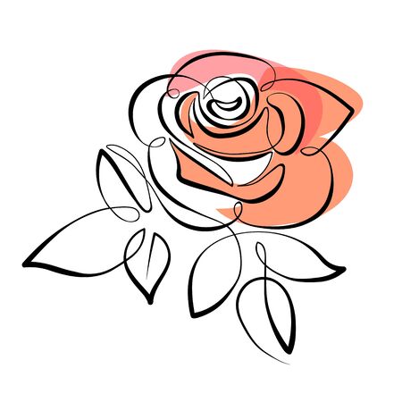 Vector red rose isolated on white background.のイラスト素材