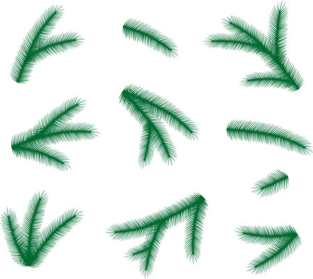 Set of Christmas tree branches. Fir. new year season. winter nature. vector illustration.のイラスト素材