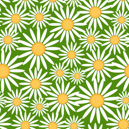 Seamless pattern with daisies on a white background. vector illustration.のイラスト素材