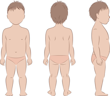 Figure of a toddler. Front, back, side.のイラスト素材