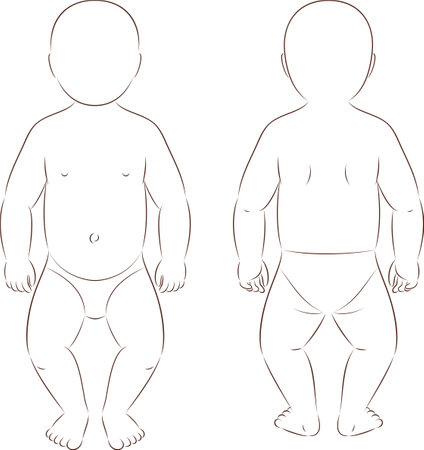 Figure of a baby. Front and back.のイラスト素材