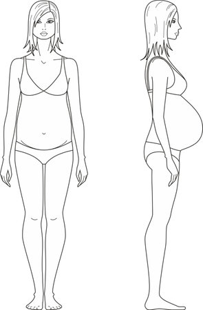 Pregnant female figure template. Front and side.のイラスト素材