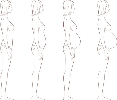 Pregnant female figure template. Side view.のイラスト素材
