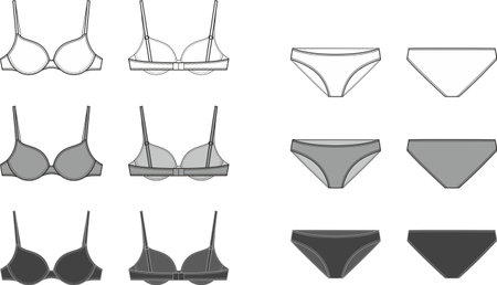 Womens lingerie. Bra and panties.のイラスト素材