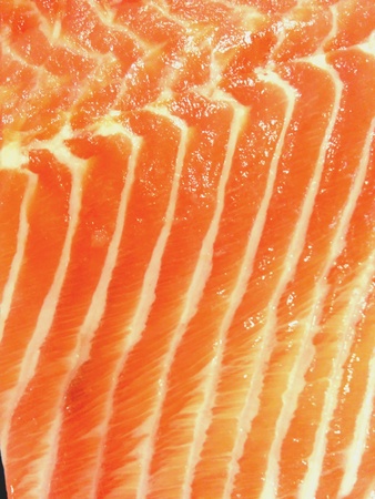fresh salmon fishの素材