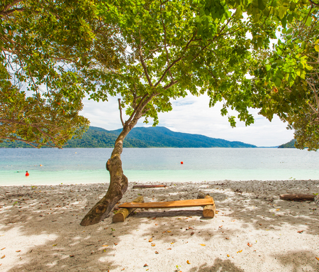 wooden bench on beautiful beach and seaの写真素材