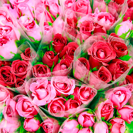 Valentine day background. Bouquet of rose flowers.の写真素材