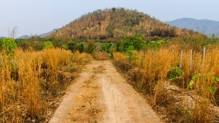 Rural soil way in urbanの写真素材
