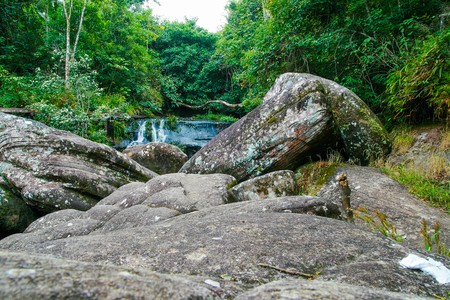Waterfall in deep forestの写真素材