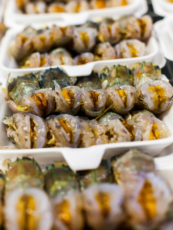Shrimp packedの写真素材