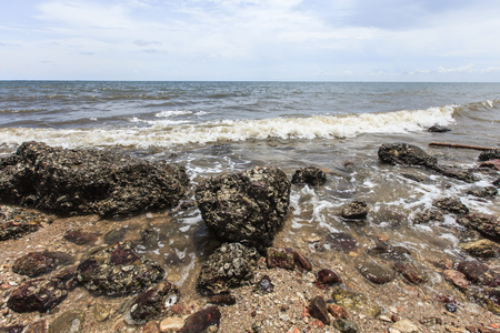 Rock beach and sea waveの写真素材