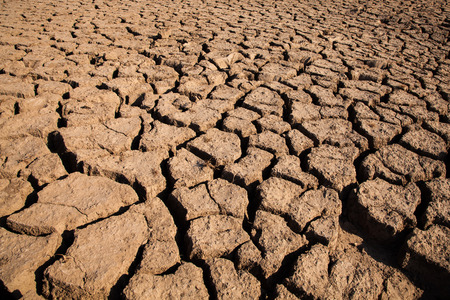 Cracked and dry landの写真素材