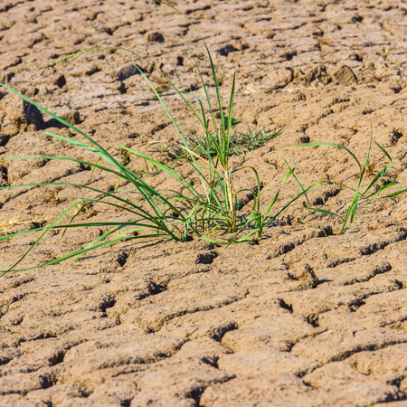 dry landの写真素材
