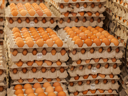 fresh egg in trayの写真素材