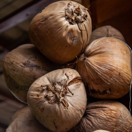 Brown coconut fruitの写真素材
