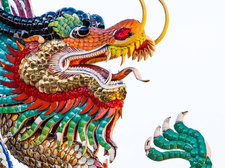 Image of dragon on whiteの写真素材