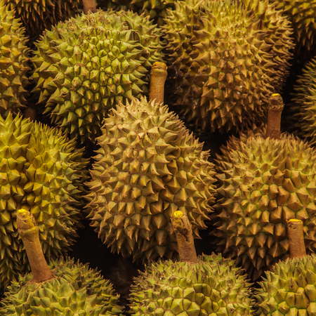 Durian in fresh marketの写真素材