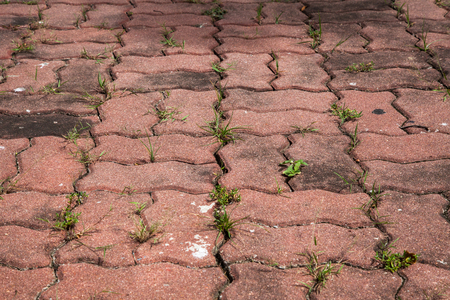 Old red brick pathの写真素材