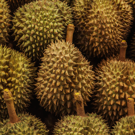 Durian in fresh marketの写真素材