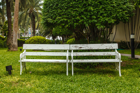 Wooden bench in gardenの写真素材