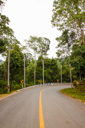 Curved asphalt road in forestの写真素材