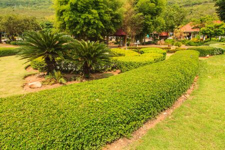 Outdoor public park and gardenの写真素材