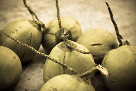 Coconut fruit. Retro filterの写真素材