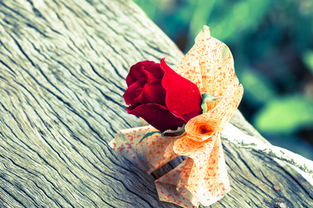 roses on grunge wood backgroundの写真素材