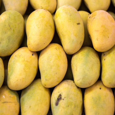 Yellow mango in marketの写真素材