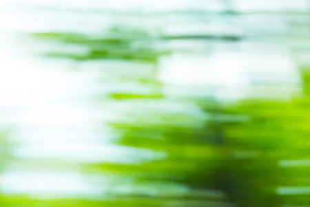 Abstract motion blur of tree background