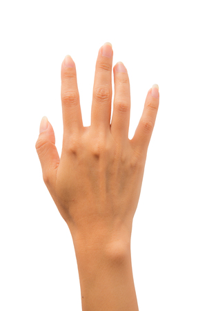 Hand isolated on white backgroundの写真素材