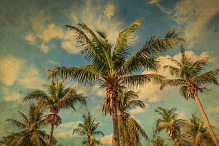 Coconut tree and sky background. retro filterの写真素材