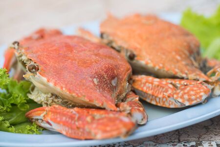 Steam crabs close upの写真素材