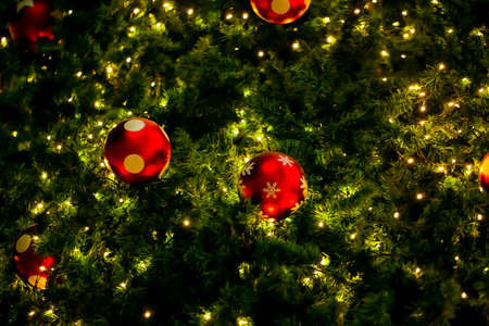 Christmas light and tree decor backgroundの写真素材