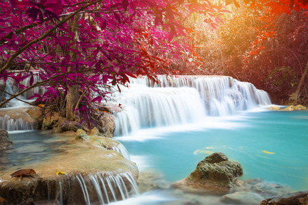 Waterfall in deep forestの写真素材