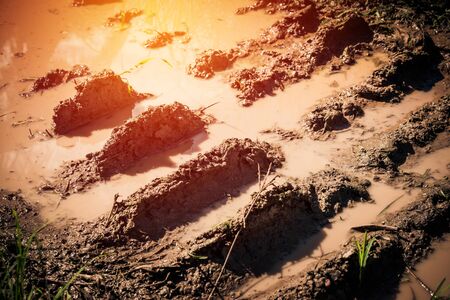 Wheek track on dirt close up. vintage filterの写真素材