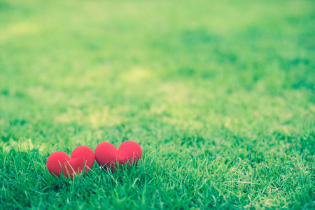 Valentine day background. Red couple hearts on green grassの写真素材