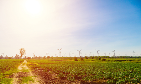 view of wind turbine generator farmの写真素材