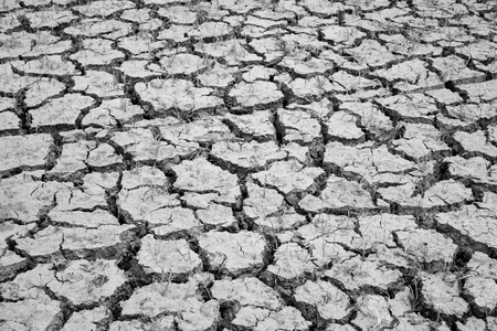 Pattern of crack soil in dry land.の写真素材