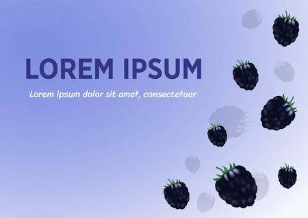 Falling summer berries. Blackberry vector backgroundのイラスト素材