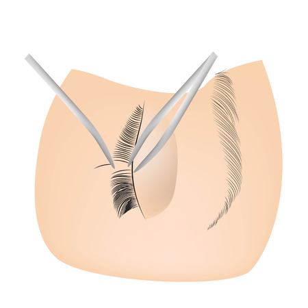 Eyelash Extension Procedure. Woman Eye with Long Eyelashes. Lashes, close upのイラスト素材