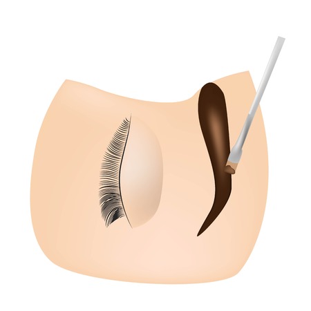 The master paints eyebrows with henna to a girl, paints with a brush in the salon of a beautician-makeup artist. Brow architecture.のイラスト素材