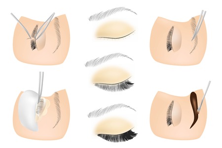 Eyelash cosmetic Procedures: Staining, Curling, Laminating,Extension for Lashes, shape eyebrows paints eyebrowsのイラスト素材