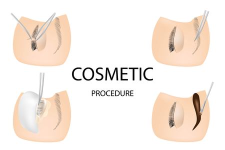 Eyelash cosmetic Procedures: Staining, Curling, Laminating,Extension for Lashes, shape eyebrows paints eyebrowsのイラスト素材