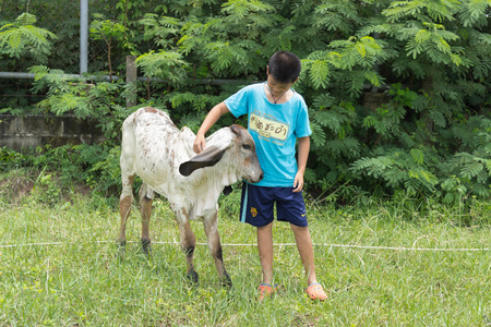 Child and calfのeditorial素材